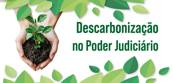 mão segurando muda de árvore rodeada de folhas verdes