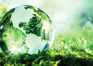 Imagem em tons de verde, contendo elementos vegetativos e um globo terrestre todo representado por matas e mares