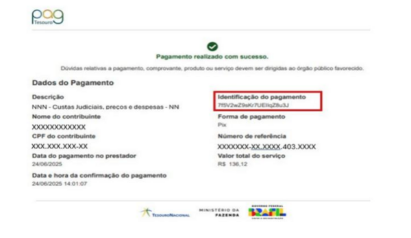 exemplo de guia paga com sucesso